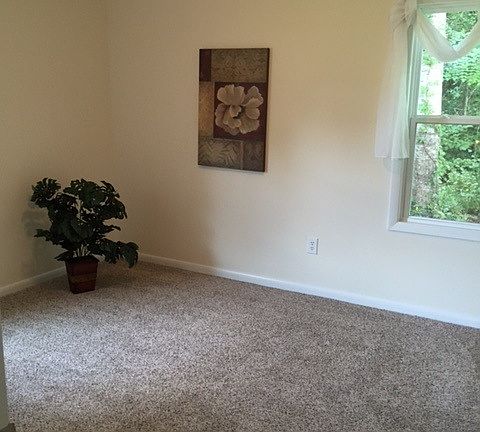 4th image of 101 Walking Leaf Dr
