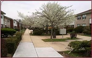 5th image of 3 Meehan Ln Unit A