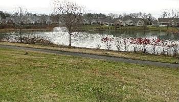 3rd image of 14127 Norwood Pond Ln
