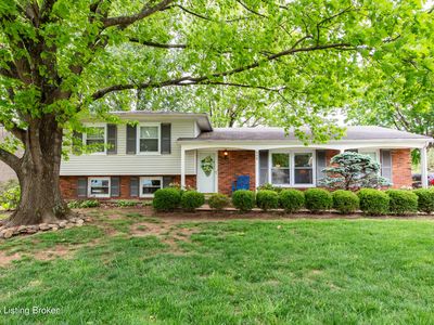 808 Foxwood Ave, Louisville, KY, 40223