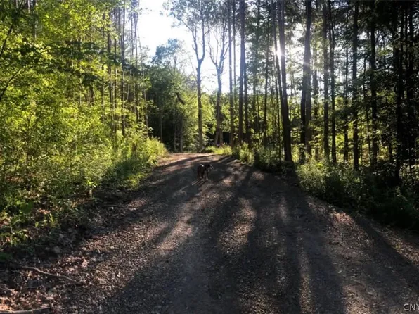 Yellow Barn Rd Lot 54, Freeville, NY 13068
