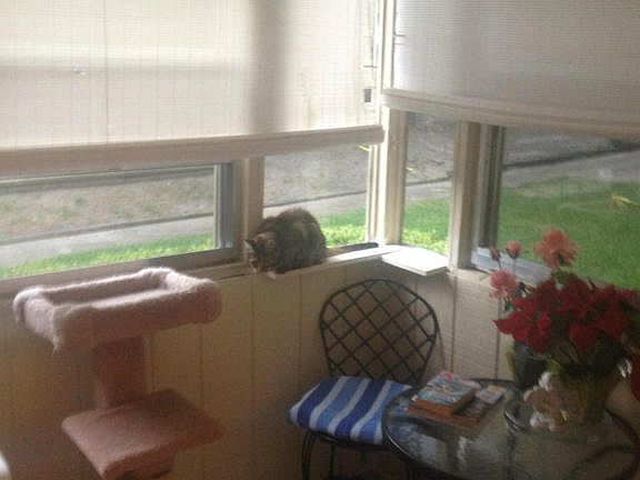 3rd image of 1950 Paine Ave APT 26