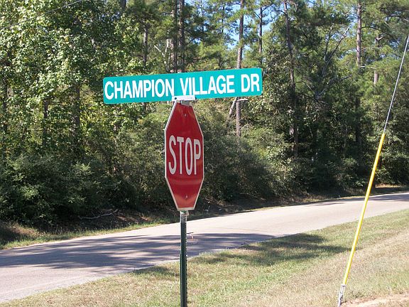 5th image of Champion Village Dr Champion Vlg Lot 15