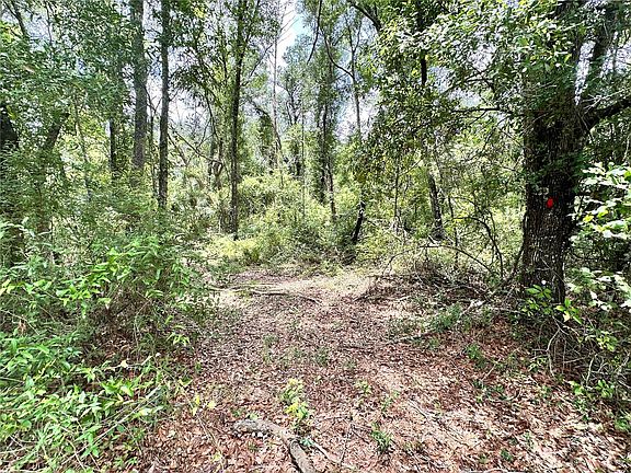 2nd image of COUNTY ROAD 349 N.