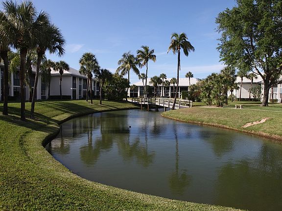 Pond
