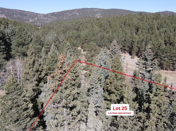 25 San Andres Cir, Angel Fire, NM 87710