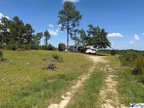4th image of 518 Singletree Ln