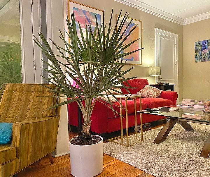 1st image of 1386 Hall Ave APT 4