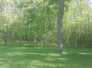 4158 Jones Rd, Beaverton, MI 48612