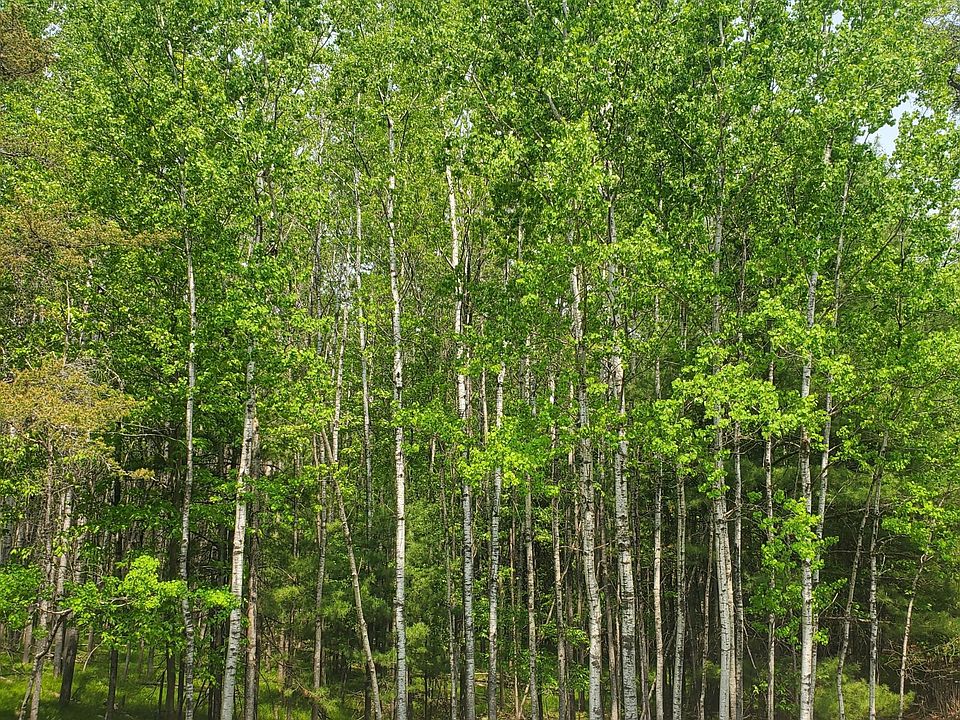 2nd image of Off Cth #J