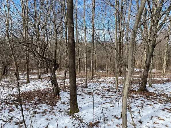 LOT 9 County Highway 14 #48, Mount Vision, NY 13810