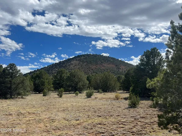 7432 Daisy Dr, Williams, AZ 86046