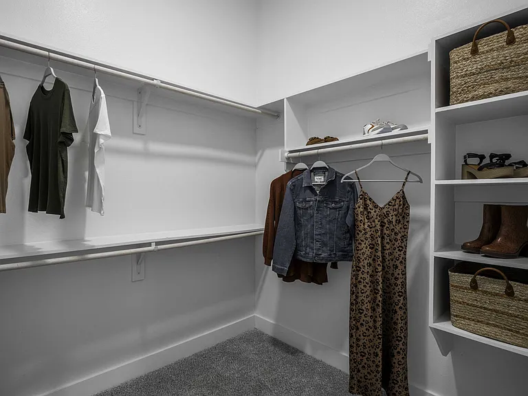 Expansive closets with custom shelving