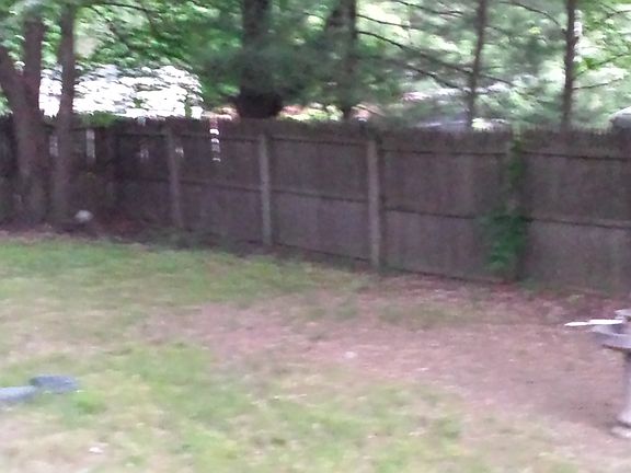 Left Side of back yard