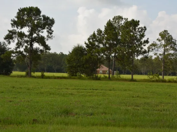 1 Bridgewater Ct, Theodore, AL 36582