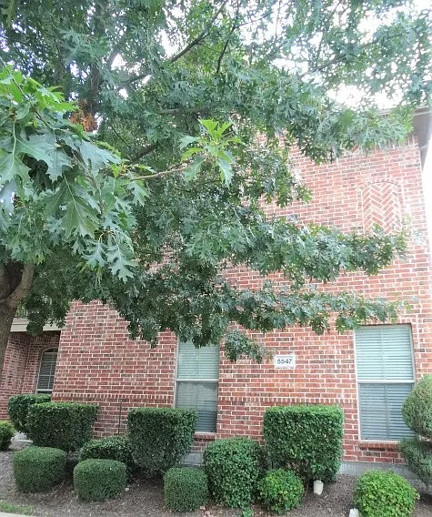 3 bed, 1475 sqft, $2,550 — Photo 2