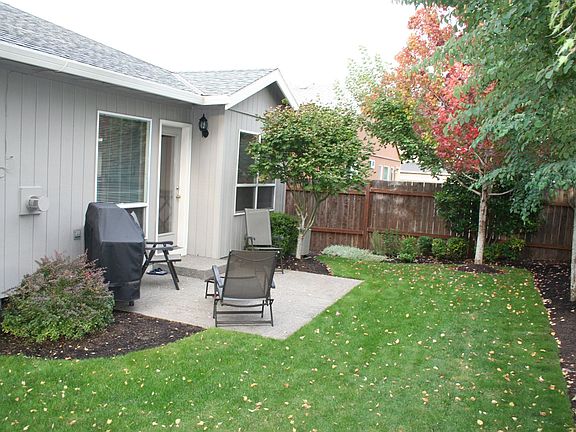 Back yard