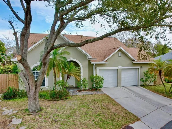 8831 CYPRESS HAMMOCK DRIVE, TAMPA, FL 33614