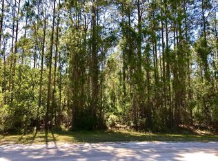 123 Pine Cone Dr, Georgetown, FL 32139