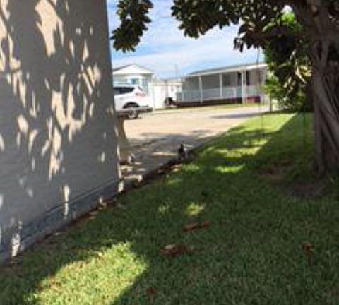 3rd image of 484 W Clam Cir