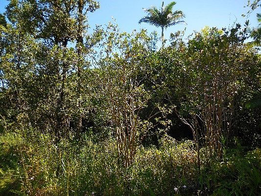 3rd image of Road 5 Lot 4061