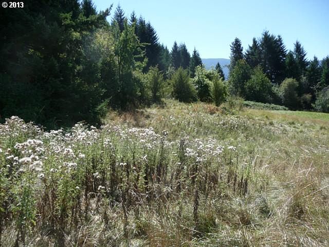 2nd image of Sanjen Ln