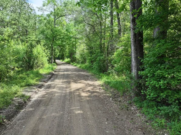 0 County Road 3709, Colmesneil, TX 75938