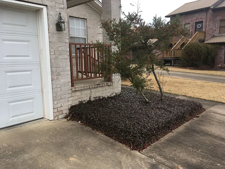 14 S Joplin Loop — Photo 7