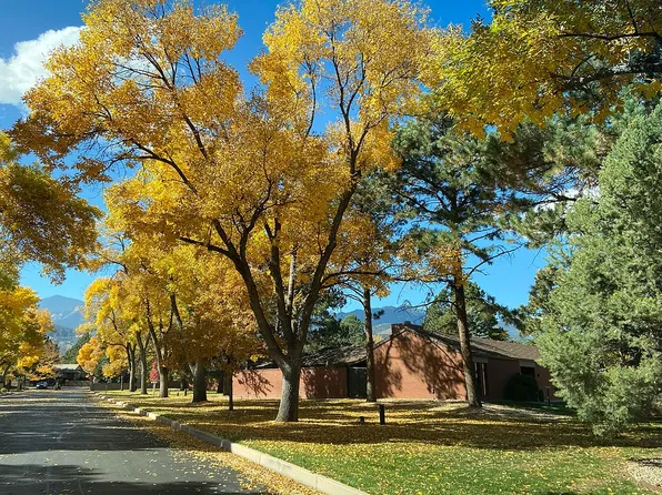 2670 Spring Grove Ter, Colorado Springs, CO 80906