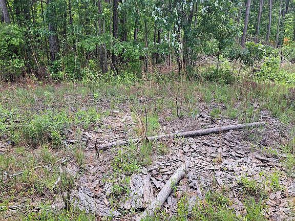 5th image of 460 Grover Wilson Rd