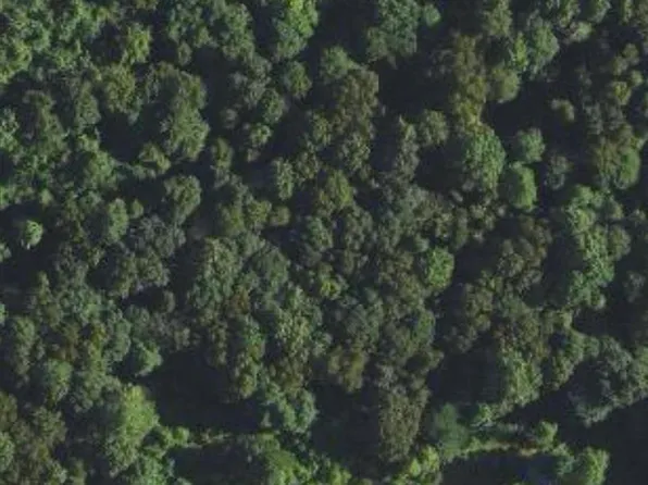 Cub Run Hwy, Munfordville, KY 42765