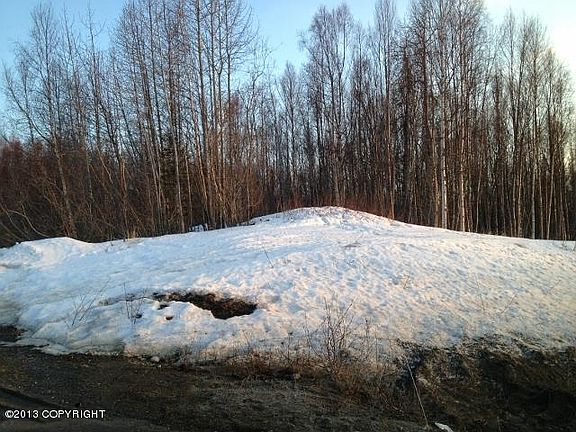 5th image of Mi 27 2 Kenai Spur Highway Nikiski N