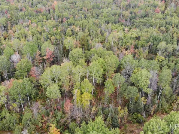 3 Norwich Rd, Ewen, MI 49925