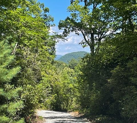 5th image of 4431 Dillard Road