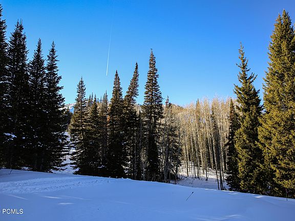 5th image of 329 White Pine Canyon Rd