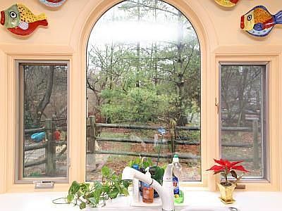 Great Wooded Lot