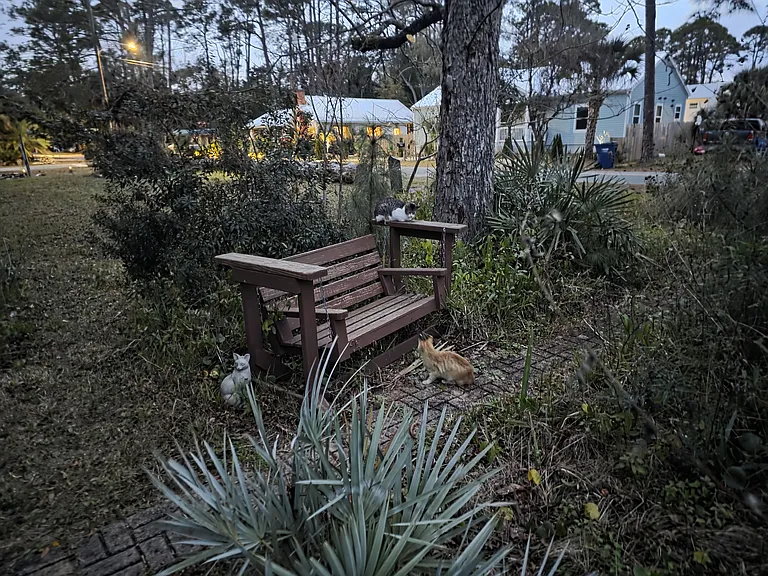 244 Prado St — Photo 11