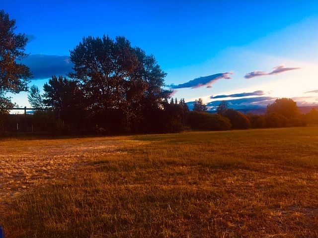 Sunset from ctr of property 