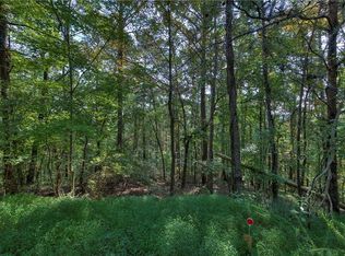 1037 Astro Cts NE #1037, Ranger, GA 30734