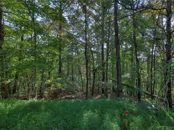 1037 Astro Cts NE #1037, Ranger, GA 30734