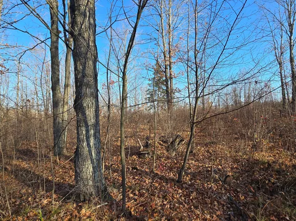 Cth T Upham Town, Summit Lake, WI 54485