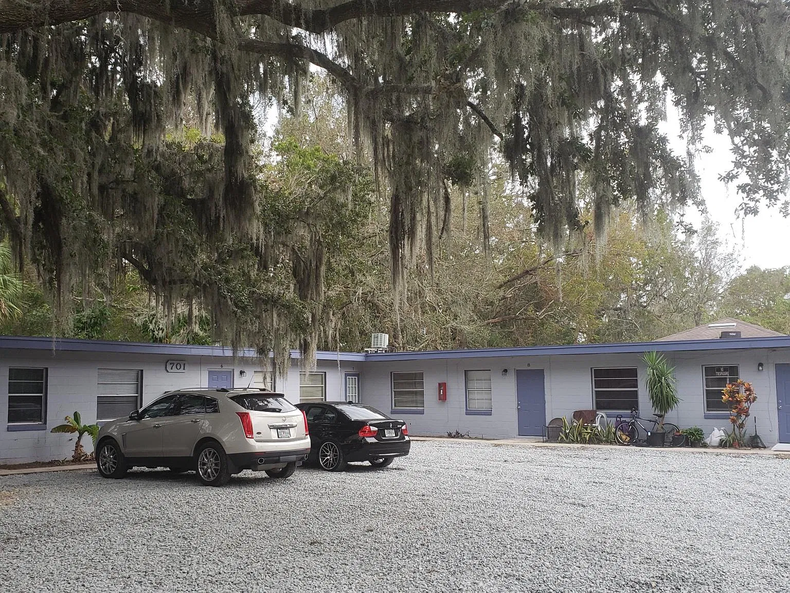 2 bed, $900 — Photo 1