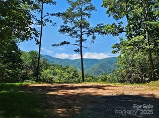0 Blue Vista Rd LOT 1, Canton, NC 28716