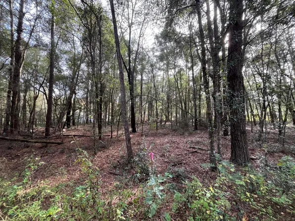 (undisclosed Address), Belleview, FL 34420