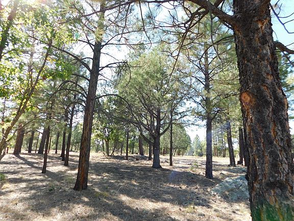 3rd image of 2647 Arapaho Dr Lot 610