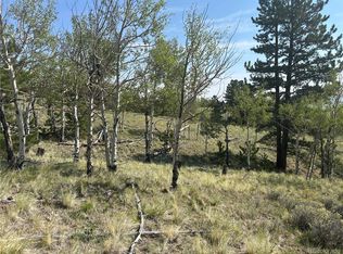 11414 Ranch Road LOT 1022, Hartsel, CO 80449