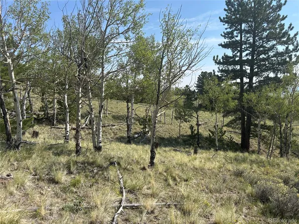 11414 Ranch Road LOT 1022, Hartsel, CO 80449