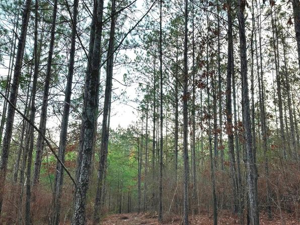 0 Pine Ridge Rd, Purvis, MS 39475