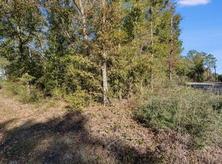 20 Hurricane Dr, Defuniak Springs, FL 32433