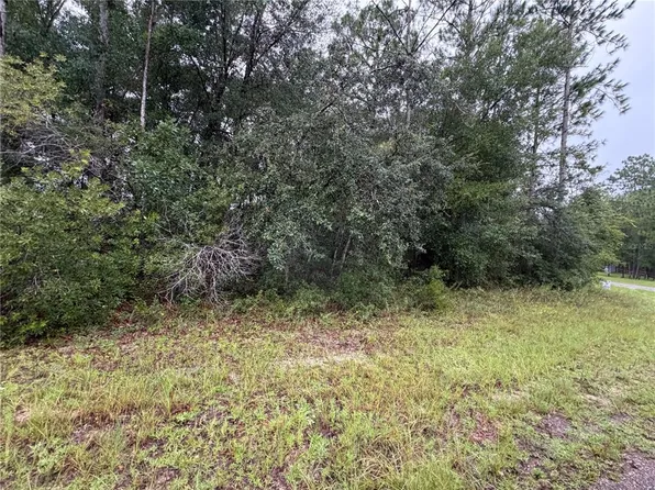 482 W CABOT LANE LOT 1, CITRUS SPRINGS, FL 34434